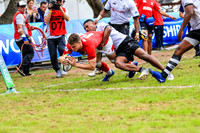 Wales v Fiji