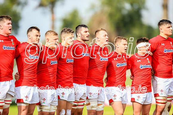 12-06-2019-SWYL1004.JPG