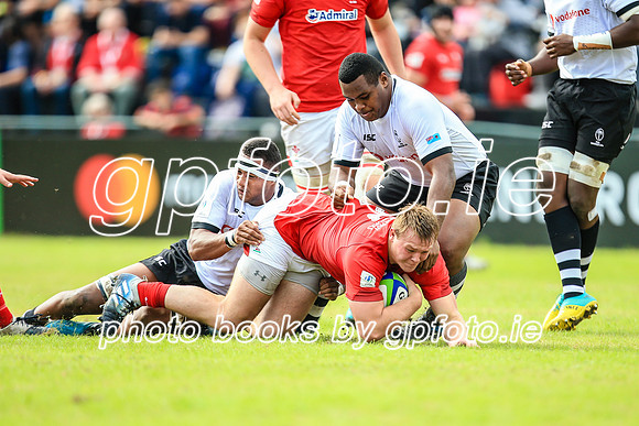 12-06-2019-SWYL1173.JPG