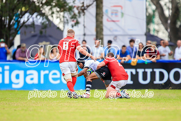 12-06-2019-SWYL1370.JPG