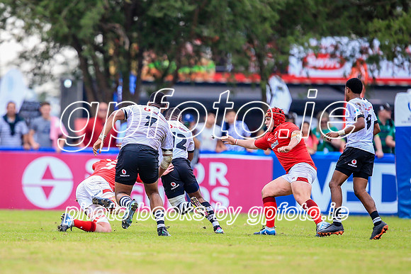 12-06-2019-SWYL1372.JPG