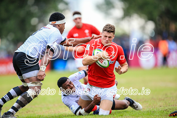 12-06-2019-SWYL1399.JPG