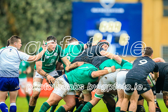 17-06-2019-CGJ26114.JPG