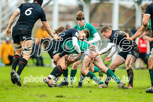 17-06-2019-CGJ26146.JPG