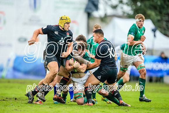 17-06-2019-CGJ26168.JPG