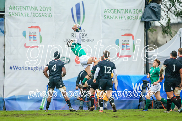 17-06-2019-CGJ26072.JPG