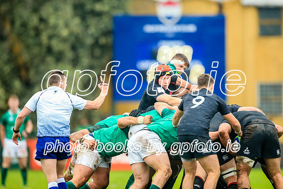17-06-2019-CGJ26113.JPG