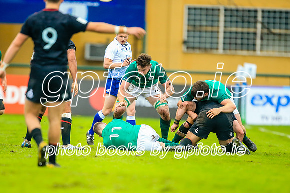 17-06-2019-CGJ26126.JPG