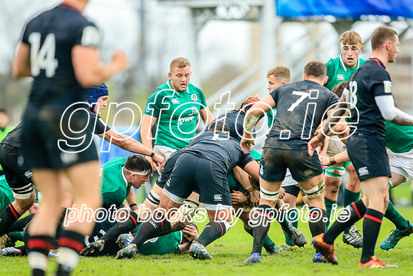 17-06-2019-CGJ26151.JPG