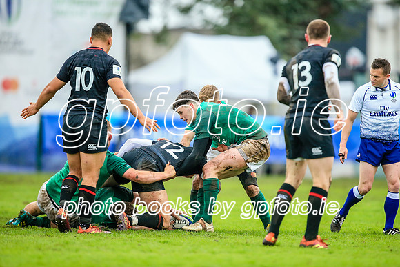 17-06-2019-CGJ26171.JPG