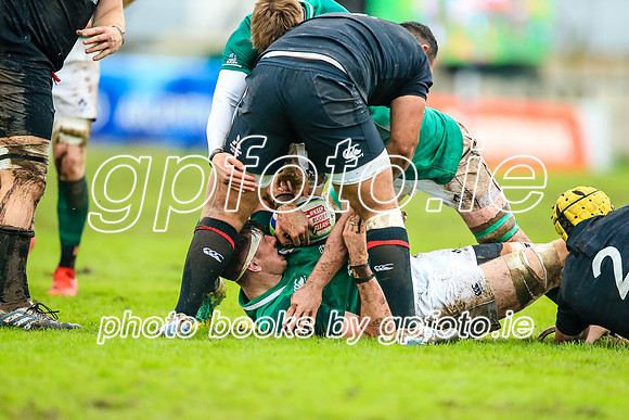 17-06-2019-CGJ26182.JPG