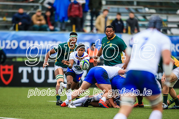 17-06-2019-SWYL6877.JPG