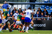 17-06-2019-SWYL6904.JPG