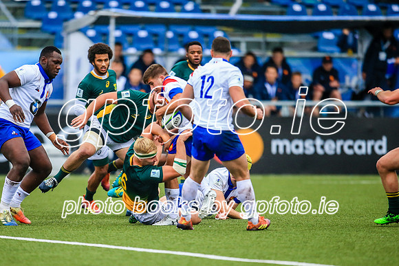 17-06-2019-SWYL6960.JPG