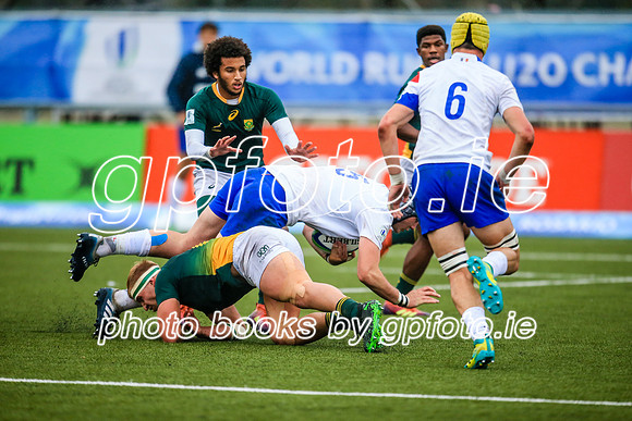 17-06-2019-SWYL7069.JPG