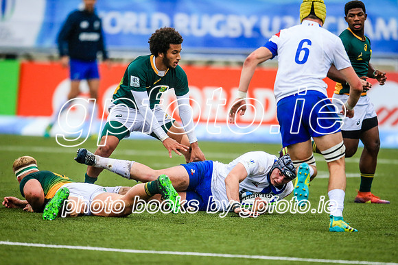 17-06-2019-SWYL7072.JPG