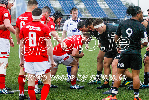 17-06-2019-_MI_7297.JPG