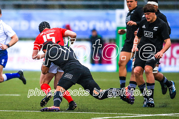 17-06-2019-SWYL3911.JPG
