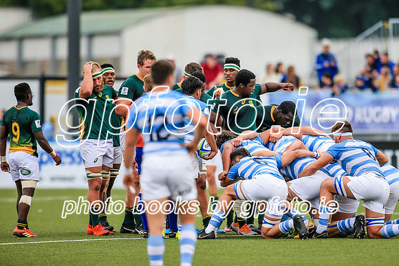 22-06-2019-SWYL0113.JPG