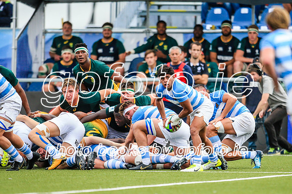 22-06-2019-SWYL0117.JPG