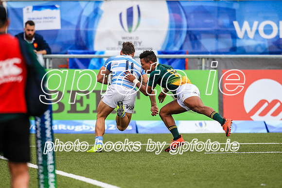 22-06-2019-SWYL0133.JPG