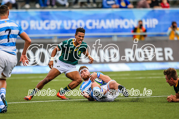 22-06-2019-SWYL0131.JPG