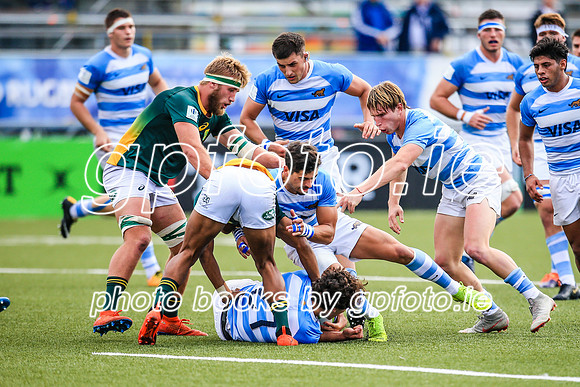 22-06-2019-SWYL0295.JPG