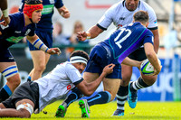 Fiji v Scotland