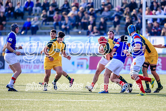 22-06-2019-SWYL1197.JPG