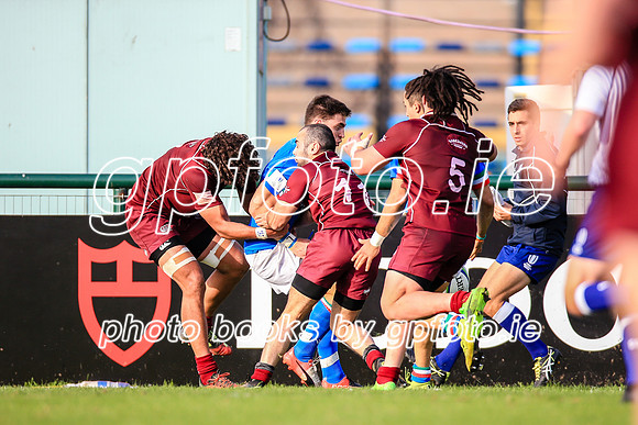 22-06-2019-CGJ21524.JPG