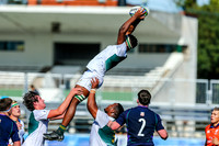 South Africa v Scotland