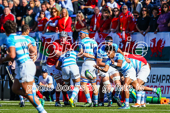190604 - WRU20_0946