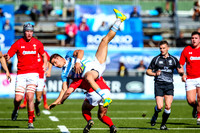 Argentina v Wales