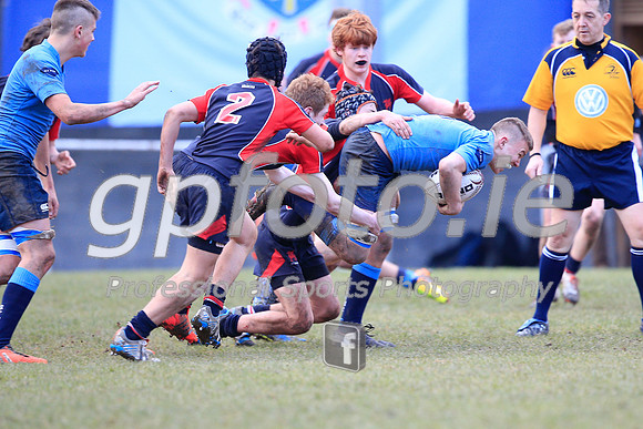 20150205-_P154716