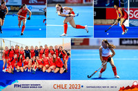 Layout (1)