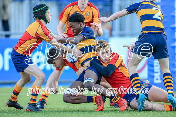 03-11-2021-SWYL8622