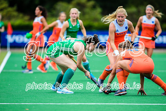 15-07-2019-SWYL6230.JPG