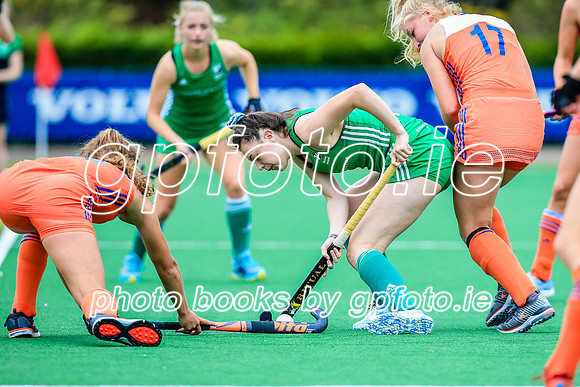 15-07-2019-SWYL6233.JPG