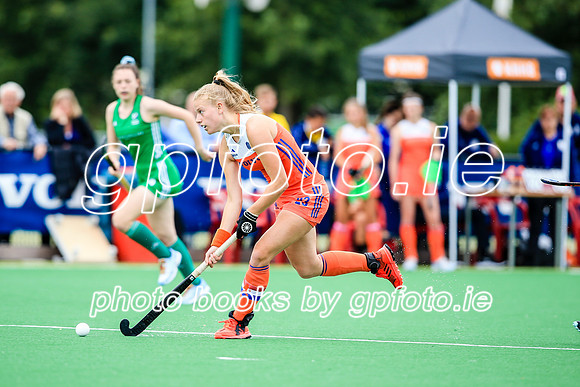 15-07-2019-SWYL6378.JPG
