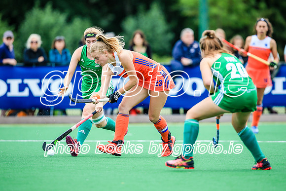 15-07-2019-SWYL6387.JPG
