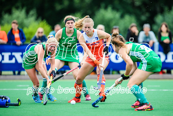 15-07-2019-SWYL6391.JPG