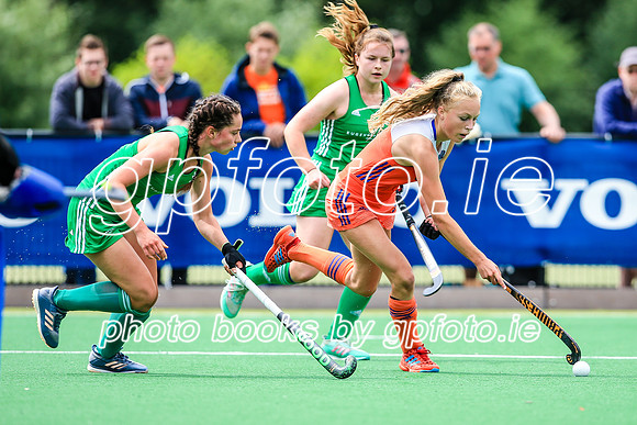 15-07-2019-SWYL6467.JPG