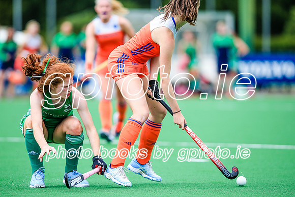 15-07-2019-SWYL6499.JPG