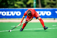 17-07-2019-SWYL7819.JPG