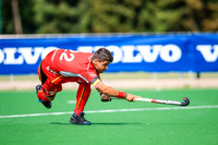 17-07-2019-SWYL7823.JPG