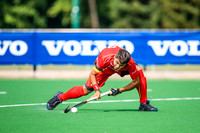 17-07-2019-SWYL7821.JPG