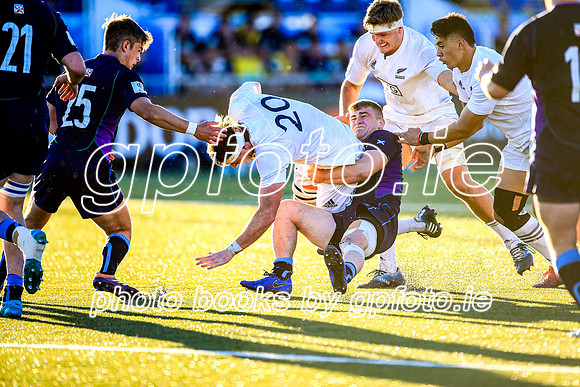08-06-2019-CGJ21003.JPG