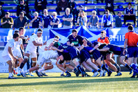 08-06-2019-CGJ20030.JPG