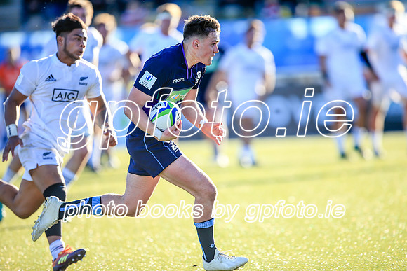08-06-2019-CGJ20278.JPG