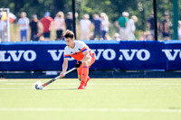 20-07-2019-CGJ29586.JPG